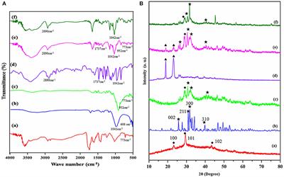 In-vivo Investigations of Hydroxyapatite/Co-polymeric Composites Coated Titanium Plate for Bone Regeneration